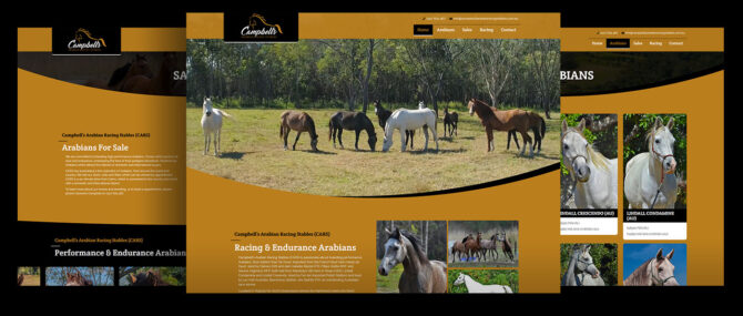 Campbell’s Arabian Racing Stables