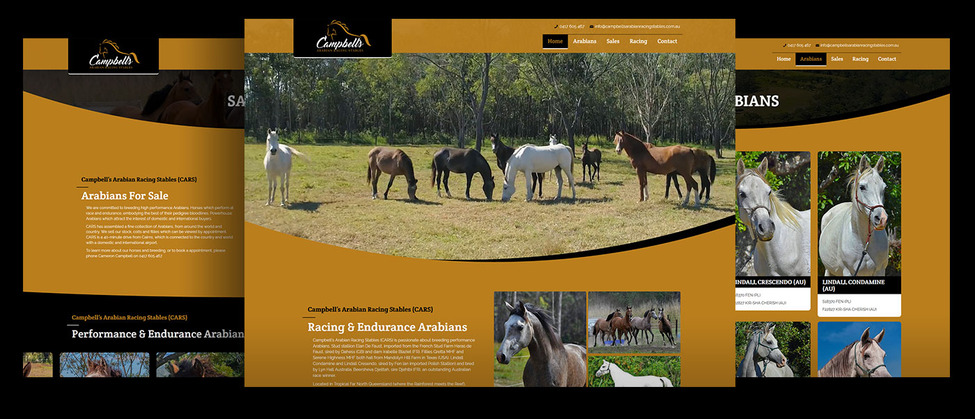 View Website