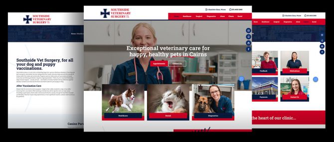 Southside Vet Surgery
